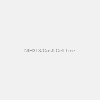 NIH3T3/Cas9 Cell Line